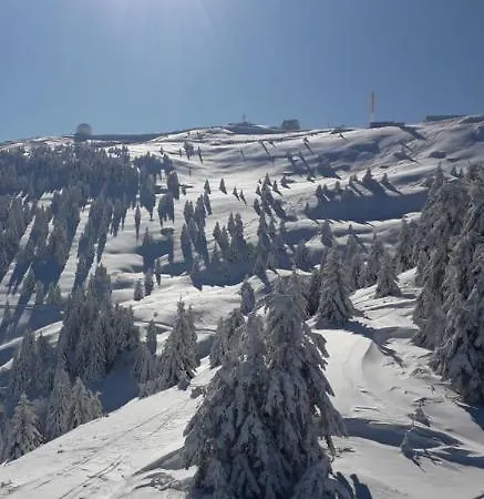 Led-treska Apartmán