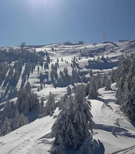 Led-treska Διαμέρισμα